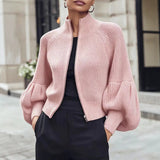 Women's fuzzy lantern-sleeve sweater - Soft and textured
